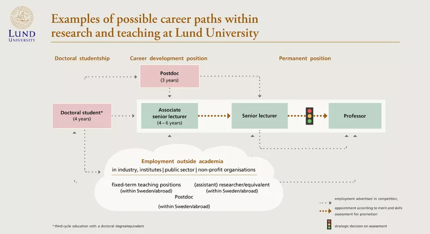 The illustration shows possible career paths within tha academia at Lund University.