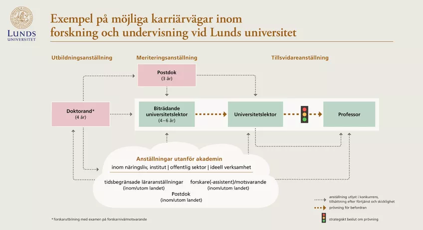 Skissen visar exempel på möjliga karriärvägar inom forskning och undervisning vid Lunds universitet.